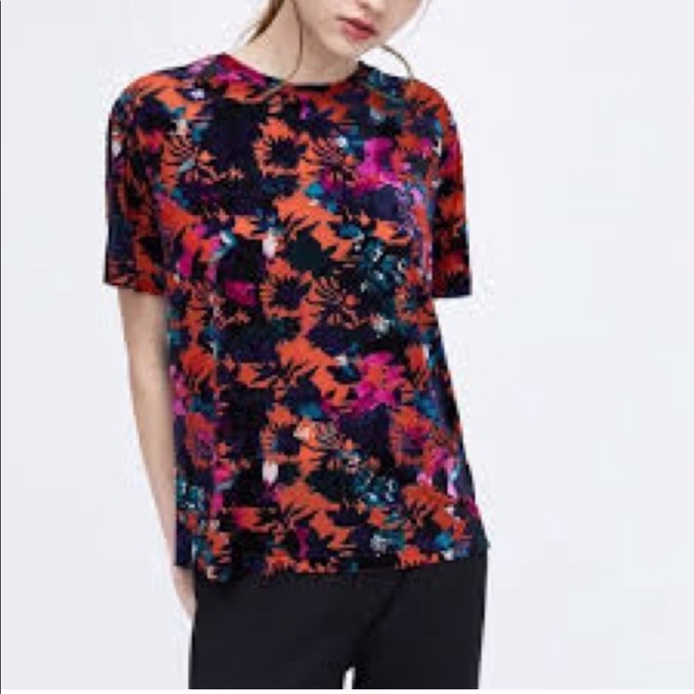 Zara Trafaluc Velvet Burnout Tee Shirt Top Medium